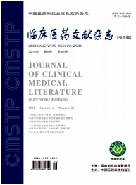 《临床医药文献电子杂志》
